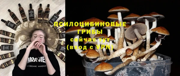 Альфа ПВП Алзамай