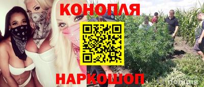Альфа ПВП Гай