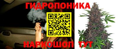 бутират Гатчина