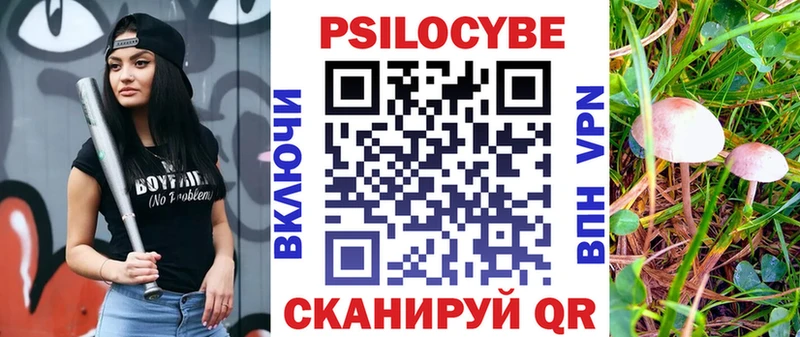 Галлюциногенные грибы Psilocybine cubensis  купить наркоту  Миасс 