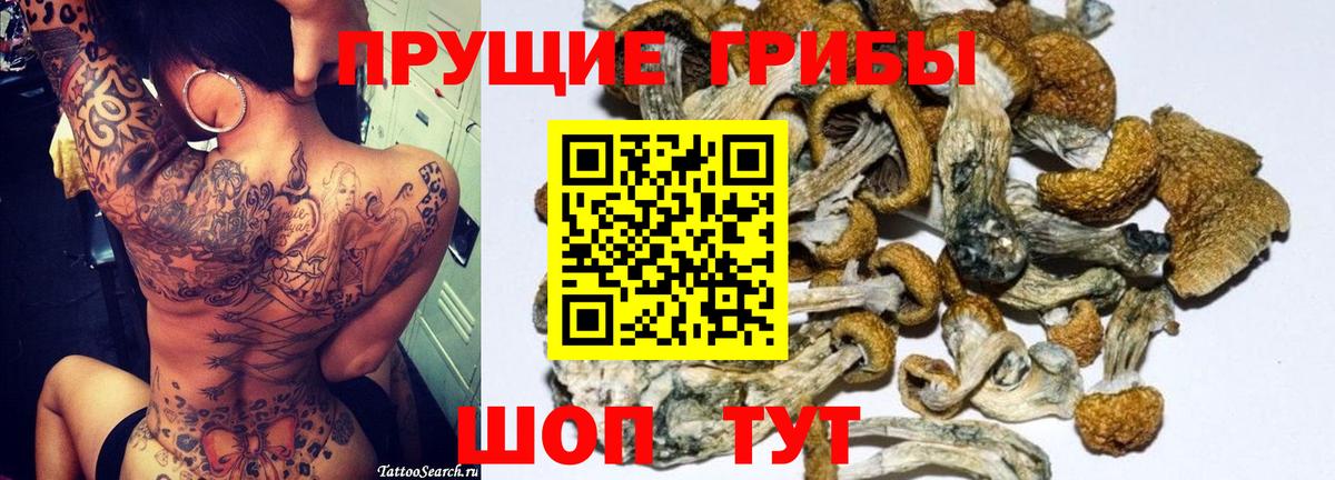 Псилоцибиновые грибы GOLDEN TEACHER  Галлюциногенные грибы мухоморы  Миасс  Вход с VPN 